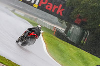 PJ-Motorsport-Photography-2020;anglesey;brands-hatch;cadwell-park;croft;donington-park;enduro-digital-images;event-digital-images;eventdigitalimages;mallory;no-limits;oulton-park;peter-wileman-photography;racing-digital-images;silverstone;snetterton;trackday-digital-images;trackday-photos;vmcc-banbury-run;welsh-2-day-enduro